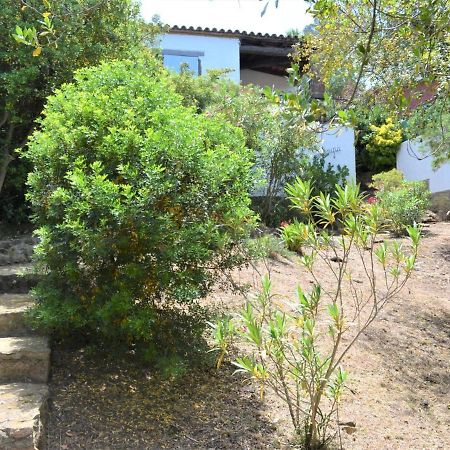 הוילה בגור Casa Minipa מראה חיצוני תמונה