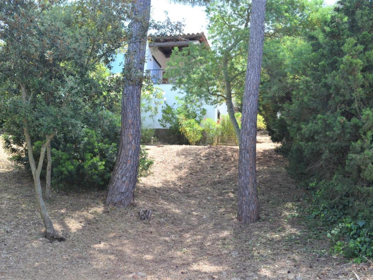 הוילה בגור Casa Minipa מראה חיצוני תמונה